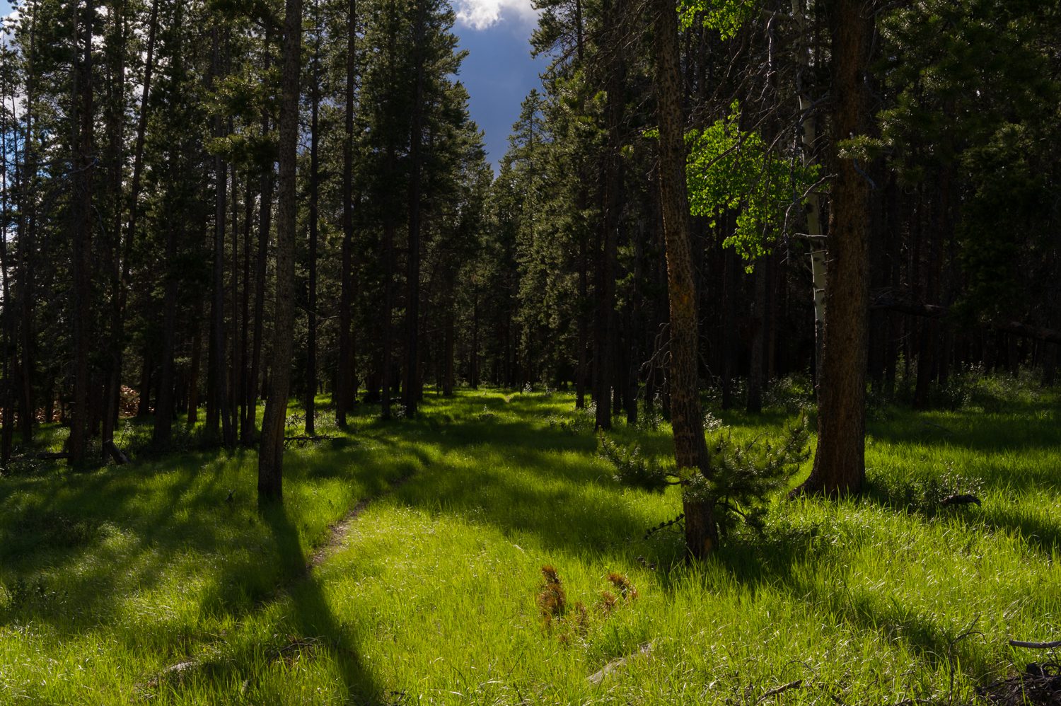 glade canada landscape photography stuart coleman