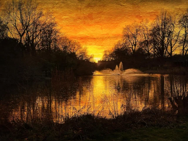 Sunset over St James’ Park #sunset #landscape #colour #texture #photography #nikon #28mm