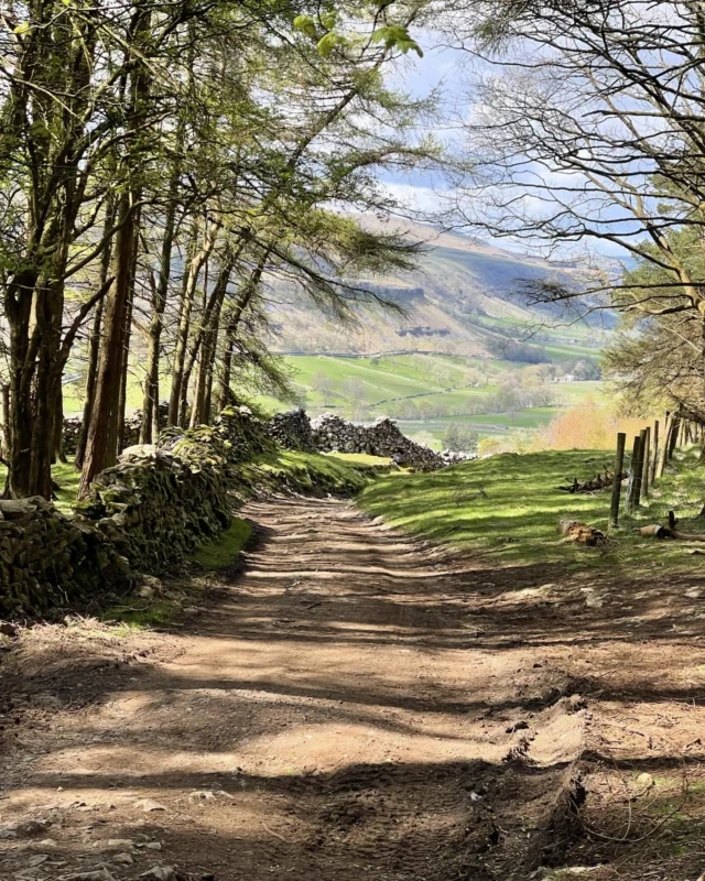 Dalesway above Kettlewell #landscape #dalesway #dappledlight #woodland #colour